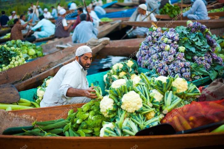 depositphotos_13698316-stock-photo-dal-lake-floating-market-boat